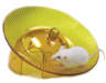 Mouse Igloo with Fast-Trac