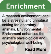 Enrichment