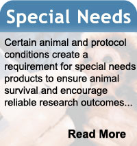 Special Needs