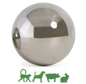 Stainless Steel Ball