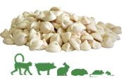 Yogurt Drops