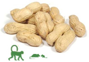 Peanuts in the Shell