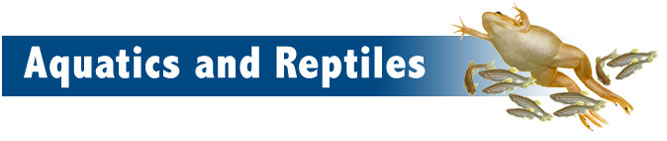Aquatics and Reptiles