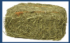 Timothy Hay Mini Bales