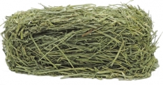 Timothy Hay Mini Bales, 4 Bales/Pack, Certified, Gamma Irradiated