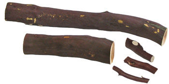 Description : Manzanita Stick W0014 Each Bio-Serv Manzanita Wood Gnawing Sticks