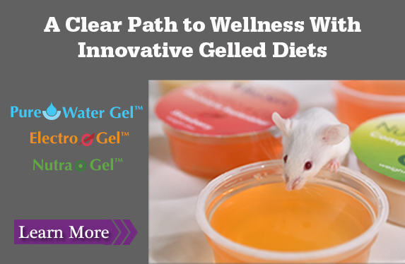 Innovative Gelled Diets