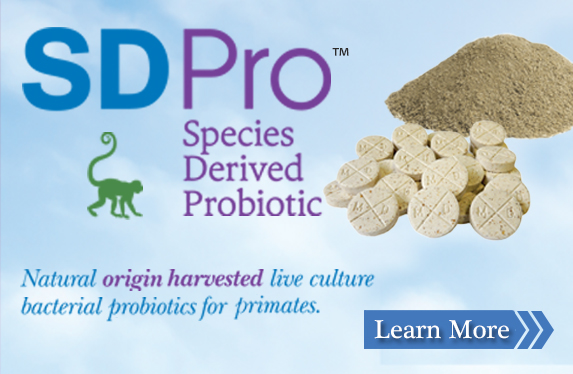SD Pro Species Derived Probiotic