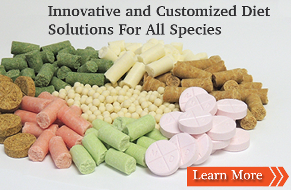 Innovative & Customized Diet Solutions for All Species
